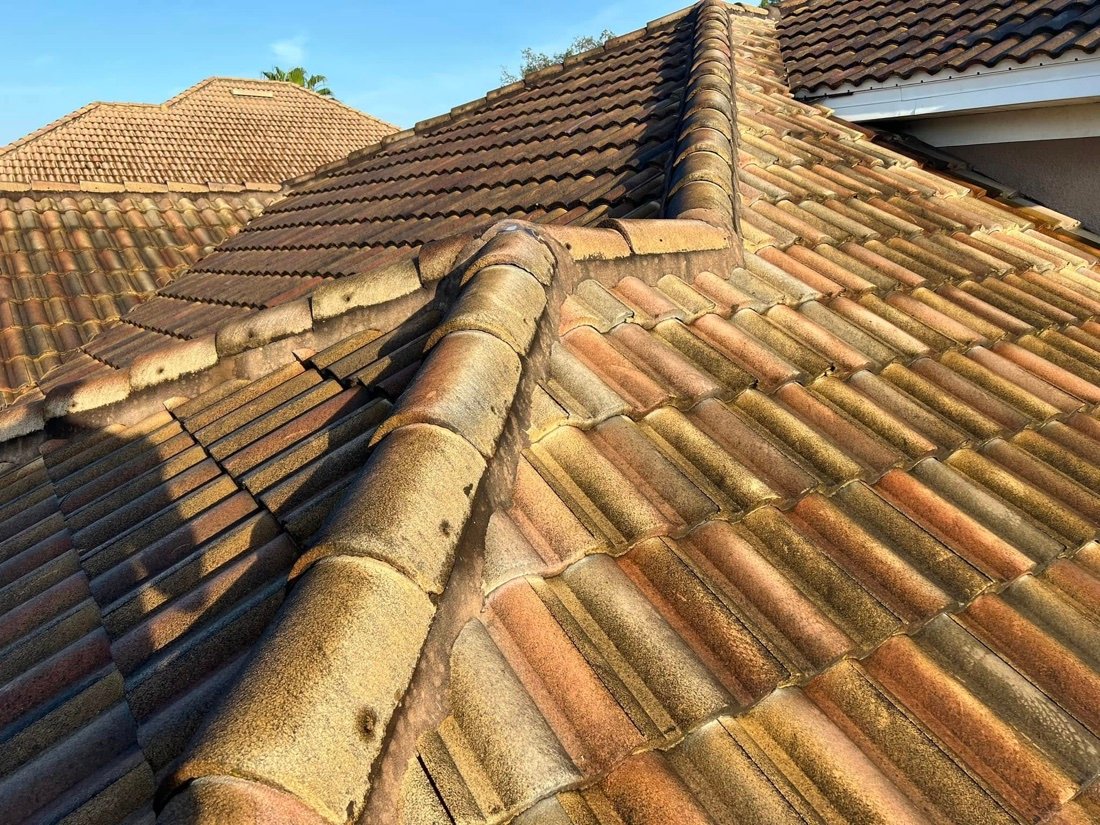 Tile roof covered in black algae before soft washing