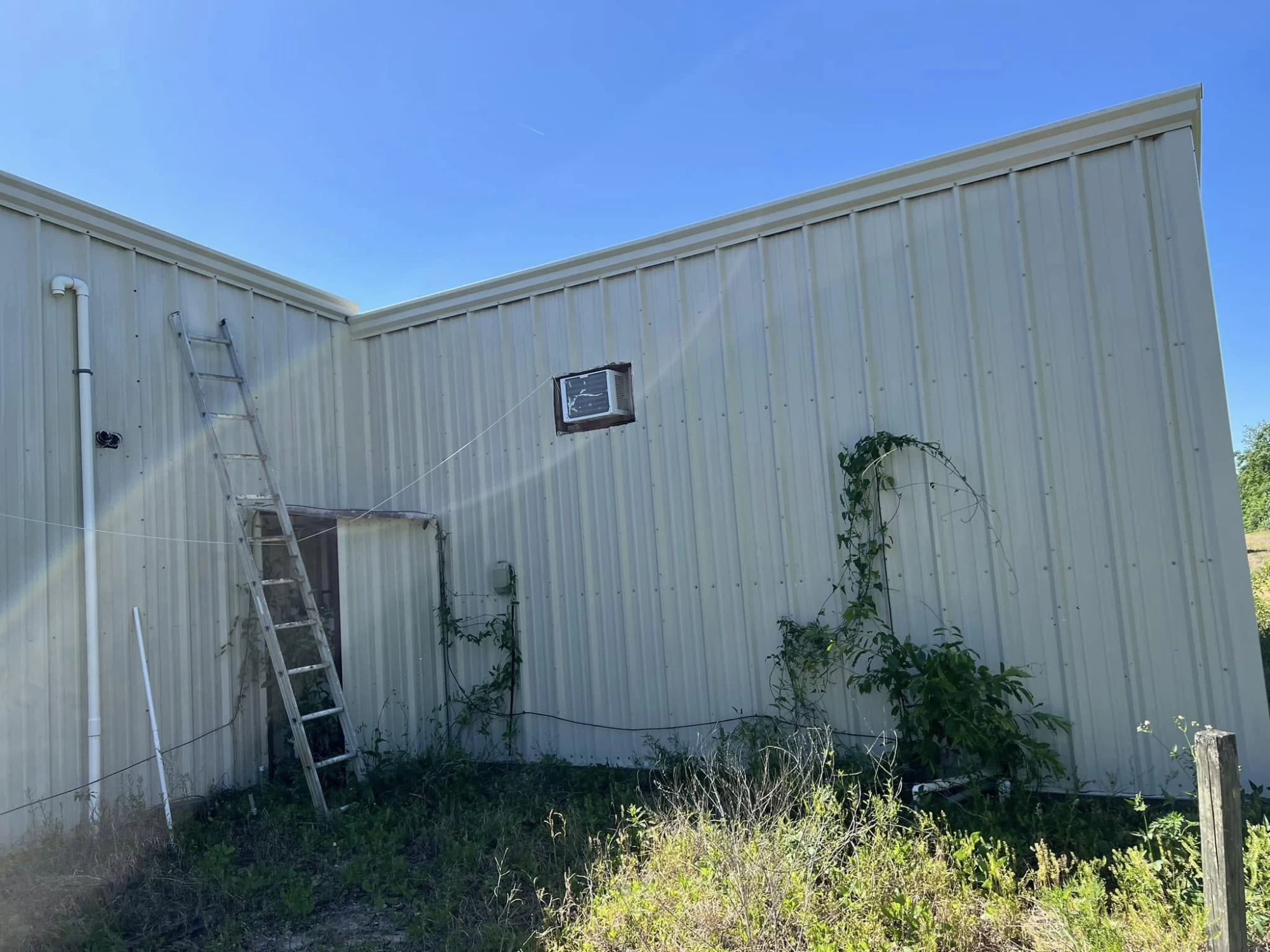 Clean, bright metal building wall after a soft wash